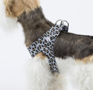 Crystal Paws Step In Harness in Jungle Print